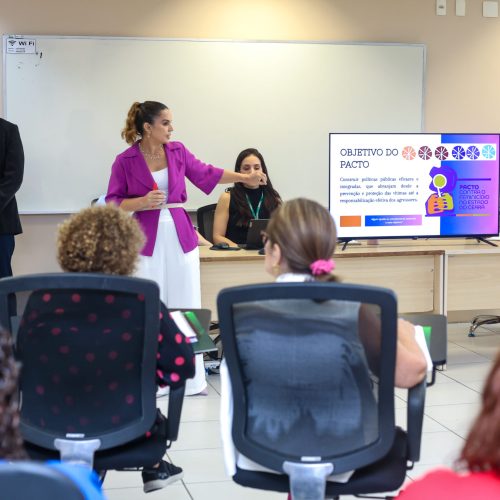 Alece inicia construção do Pacto contra o Feminicídio para fortalecer rede de proteção no Ceará