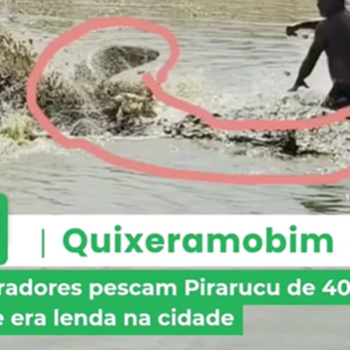 Lenda urbana se confirma: Pirarucu de 40kg é capturado em açude de Quixeramobim