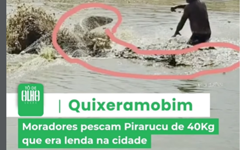 Lenda urbana se confirma: Pirarucu de 40kg é capturado em açude de Quixeramobim