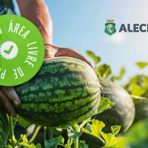 Deputados celebram o reconhecimento de áreas livres de pragas no Ceará