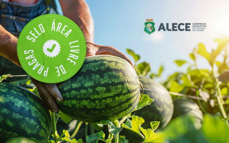Deputados celebram o reconhecimento de áreas livres de pragas no Ceará